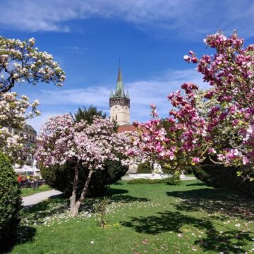 Prof. Jan Wiśniewski z wykładami na Uniwersytecie Preszowskim 
