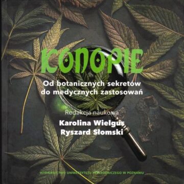 Konopie. Od botanicznych sekretów do medycznych zastosowań